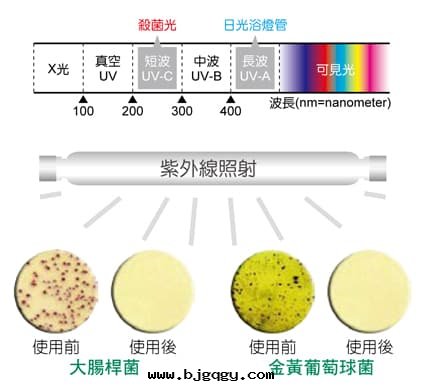 UV殺菌原理1-RootSense根(gēn)元智能(néng)鞋(xié)柜-Footies