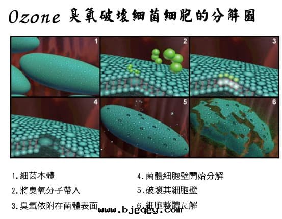 Ozone臭氧破壞细(xì)菌细(xì)胞的(de)分(fēn)解(jiě)图(tú)-RootSense根(gēn)元智能(néng)鞋(xié)柜-Footies