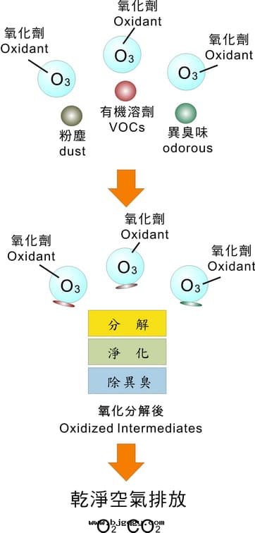 OZone除臭原理-RootSense根(gēn)元智能(néng)鞋(xié)柜-Footies