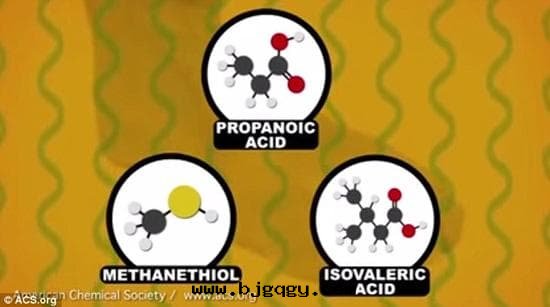 三(sān)種(zhǒng)主要(yào)的(de)细(xì)菌排洩物(wù)分(fēn)别为(wèi)：丙酸(suān)、甲硫醇酸(suān)和(hé)异(yì)戊酸(suān)。甲硫醇酸(suān)的(de)産生，令双(shuāng)腳(jiǎo)産生類(lèi)似硫磺和(hé)干(gàn)酪的(de)气味；异(yì)戊酸(suān)会(huì)令腳(jiǎo)部(bù)發(fà)出(chū)干(gàn)酪气味以(yǐ)及(jí)变質(zhì)的(de)醋(cù)酸(suān)气味；丙酸(suān)則会(huì)讓腳(jiǎo)部(bù)産生臭酸(suān)味。