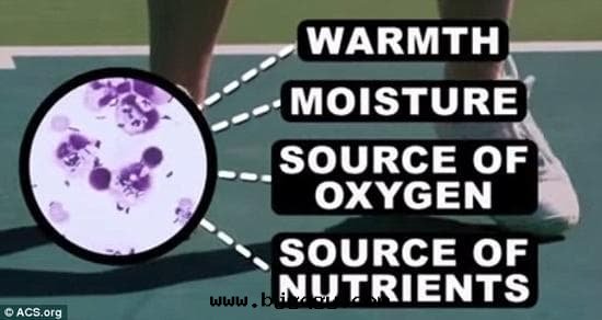 人(rén)们(men)双(shuāng)腳(jiǎo)会(huì)在(zài)不(bù)断升(shēng)温的(de)环(huán)境下(xià)大(dà)量(liàng)出(chū)汗(hàn)，從而(ér)發(fà)出(chū)阵(zhèn)阵(zhèn)惡臭。