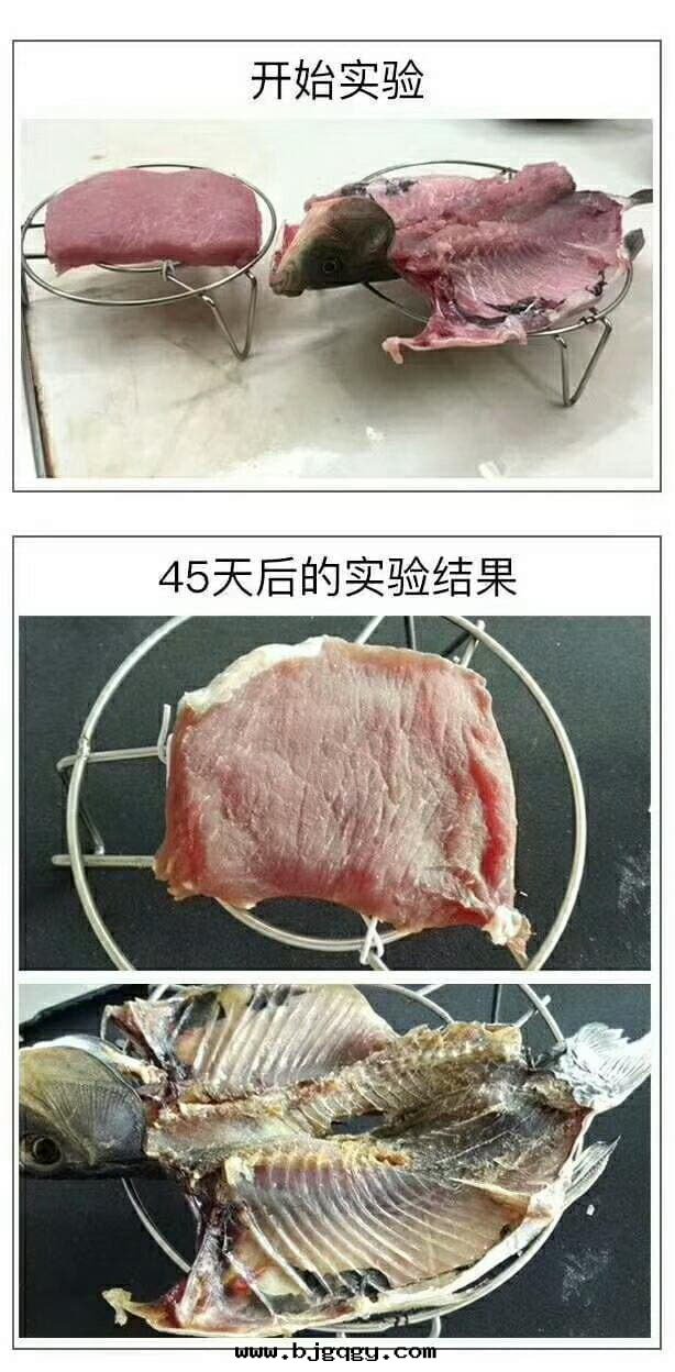 舌(shé)尖衛士有(yǒu)效延长(cháng)肉(ròu)類(lèi)保鮮时(shí)間(jiān)