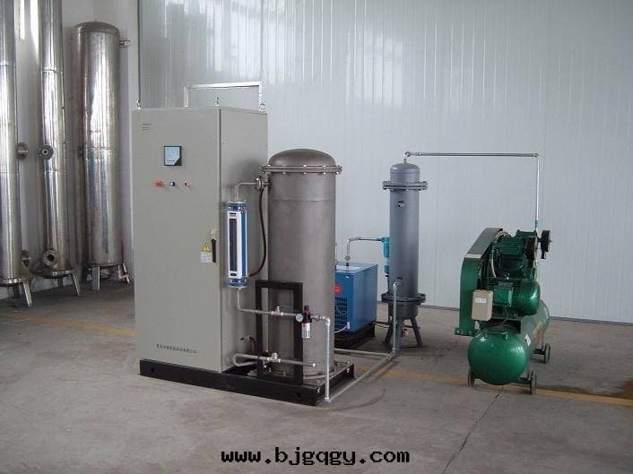 臭氧滅菌 药品生産