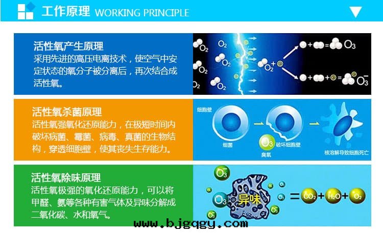 活性(xìng)氧,臭氧殺菌原理