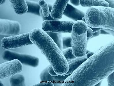 脈沖強(qiáng)光殺菌技術(shù)概述