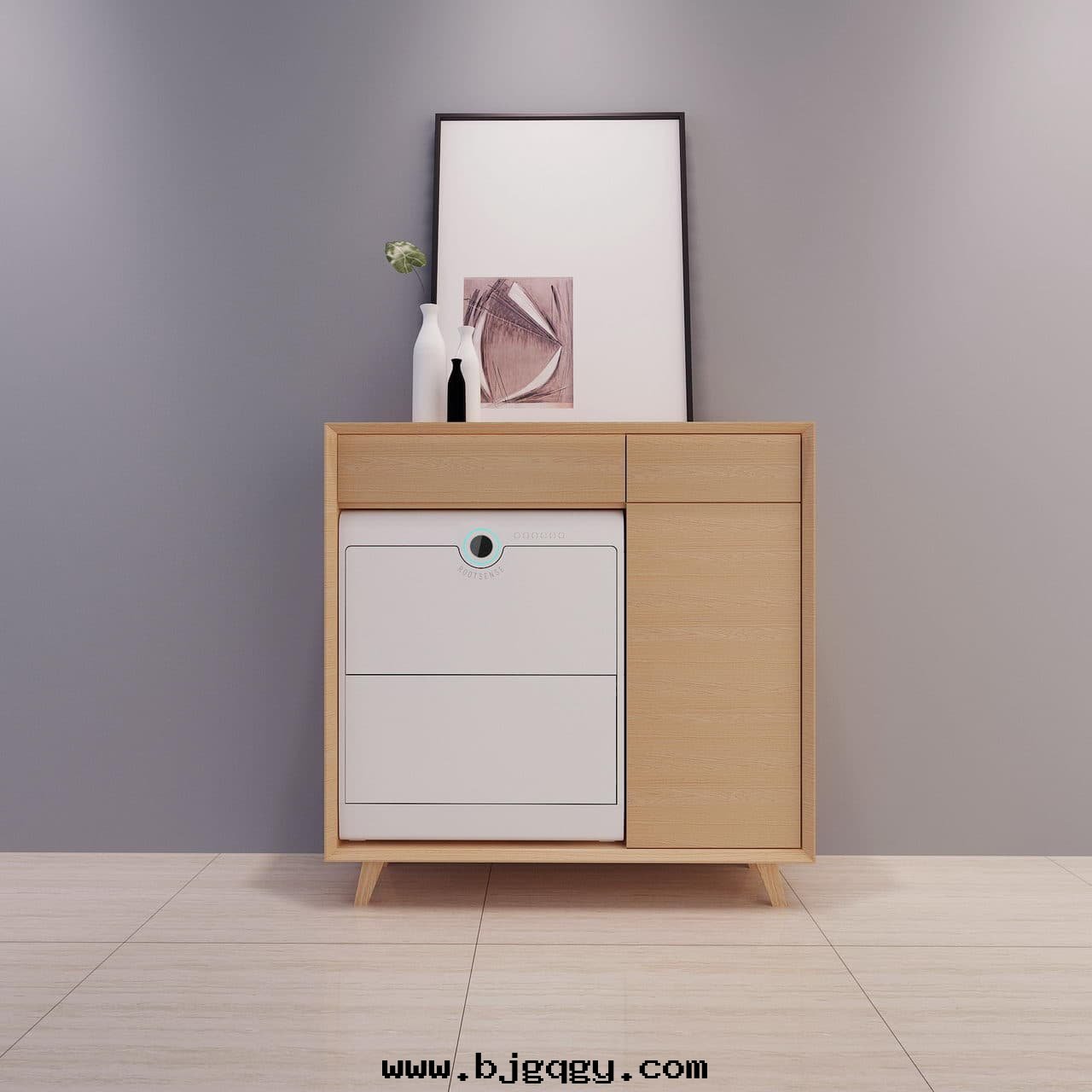 根元(yuán)智能(néng)鞋(xié)櫃護理(lǐ)機(jī)-Footies室(shì)內(nèi)设計(jì)图(tú)，室(shì)內(nèi)搭配平開(kāi)門(mén)暖色(sè)，正視图(tú)