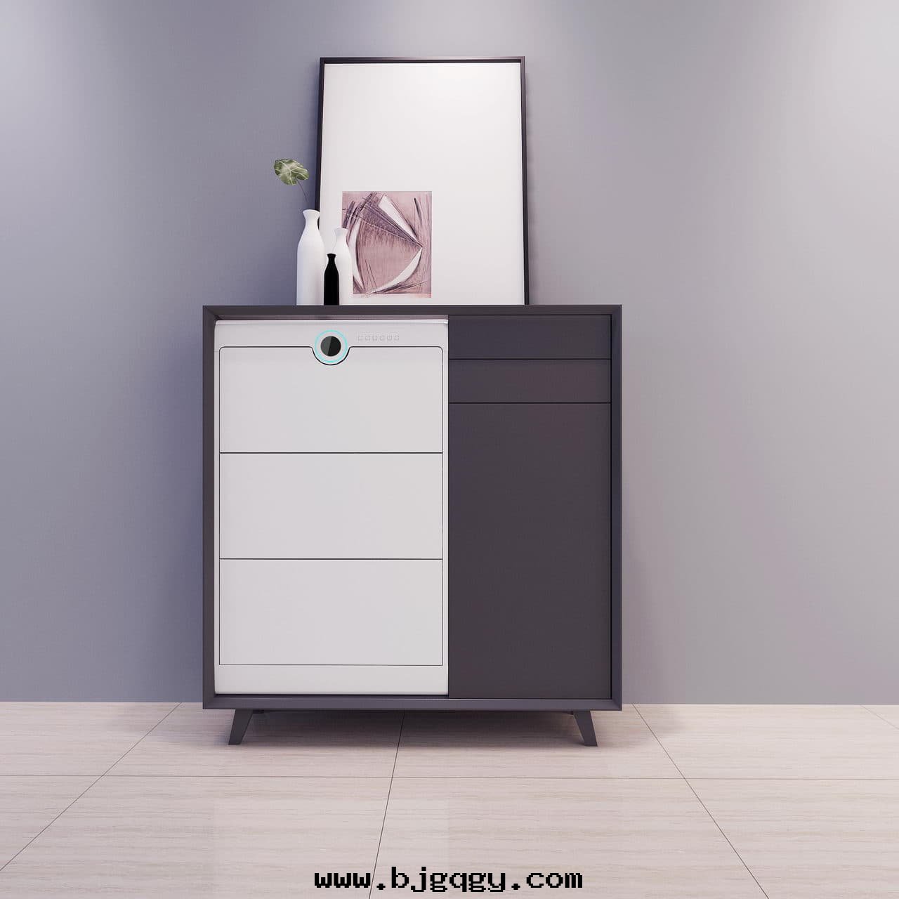 根元(yuán)智能(néng)鞋(xié)櫃護理(lǐ)機(jī)-Footies室(shì)內(nèi)设計(jì)图(tú)，室(shì)內(nèi)搭配平開(kāi)門(mén)冷(lěng)色(sè)，正視图(tú)