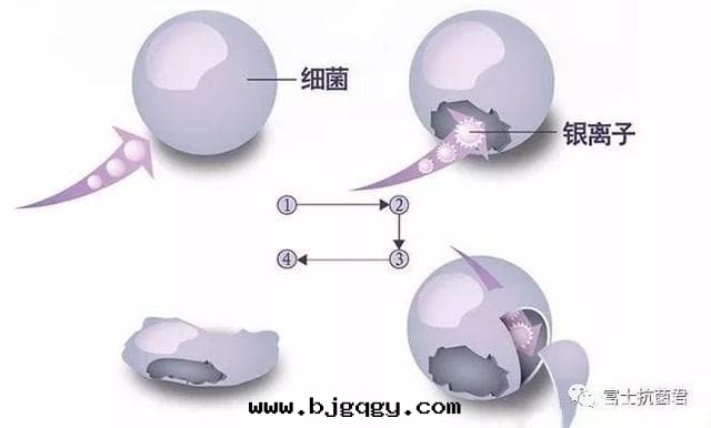 银(yín)離子抗菌原理