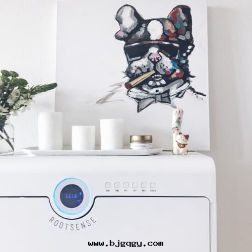 根元(yuán)智能(néng)鞋(xié)櫃護理(lǐ)機(jī)用(yòng)戶家(jiā)中(zhōng)拍照